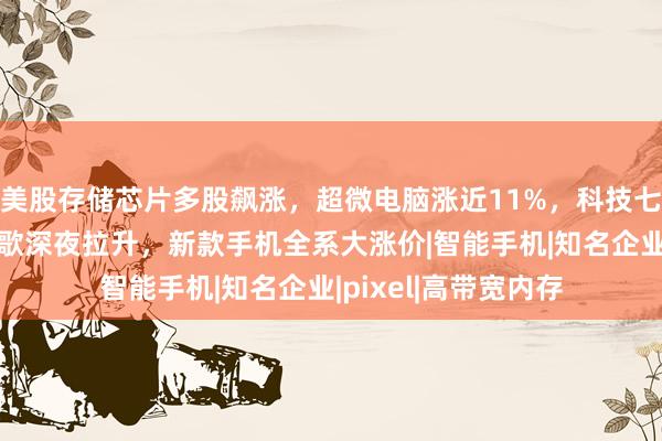 美股存储芯片多股飙涨，超微电脑涨近11%，科技七巨头集体上涨，谷歌深夜拉升，新款手机全系大涨价|智能手机|知名企业|pixel|高带宽内存