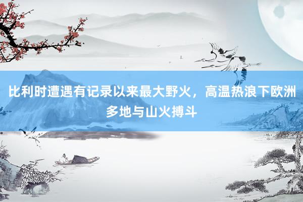 比利时遭遇有记录以来最大野火，高温热浪下欧洲多地与山火搏斗