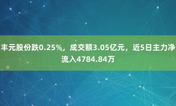 丰元股份跌0.25%，成交额3.05亿元，近5日主力净流入4784.84万